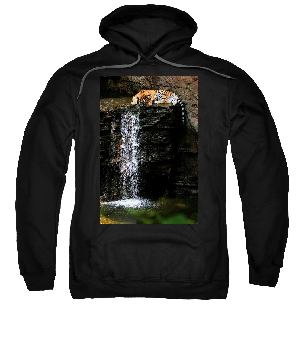 Amur Tiger Sweatshirt featuring the photograph Strength at Rest by Angela Rath