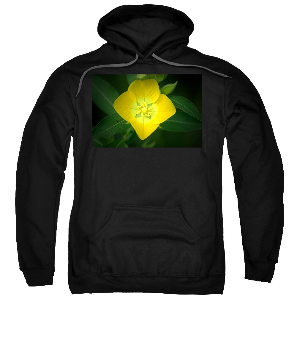 Flower Sweatshirt featuring the photograph Symmetry by David Weeks
