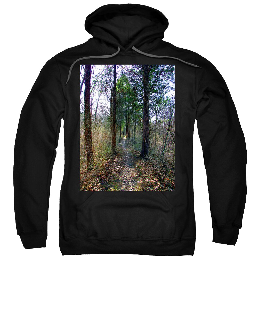 Trails Sweatshirt featuring the photograph Taking the Long Trail by Marie Jamieson