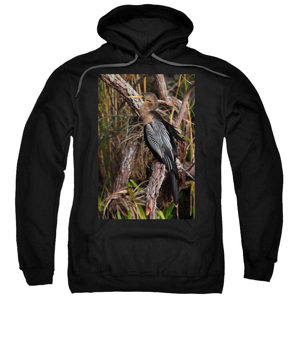 Anhinga Sweatshirt featuring the photograph The Snake Bird by Bruce J Robinson