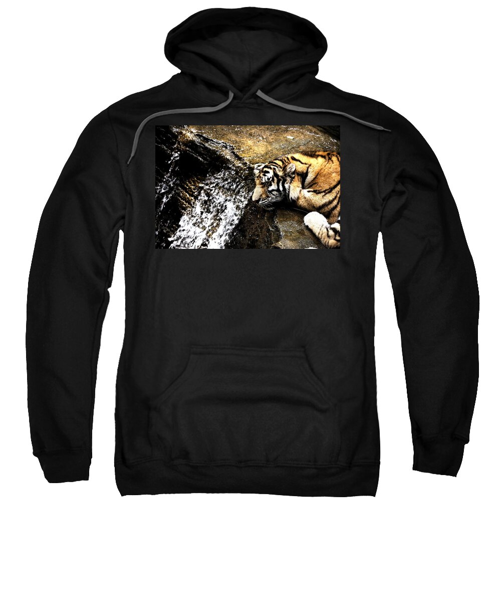 Amur Tiger Sweatshirt featuring the photograph Tiger Falls by Angela Rath