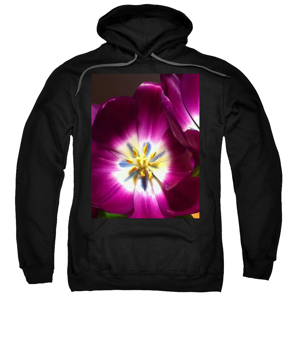 Tulips Sweatshirt featuring the photograph Tulip Overture by Kathy Corday