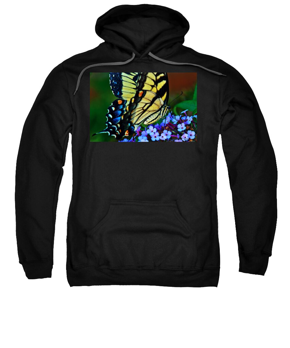 Butterfly Sweatshirt featuring the photograph Yellow Butterfly by Ed Peterson