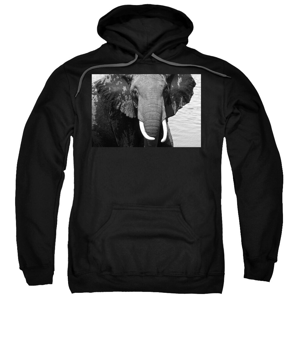 Africa Sweatshirt featuring the photograph Outta My Way #1 by Michele Burgess