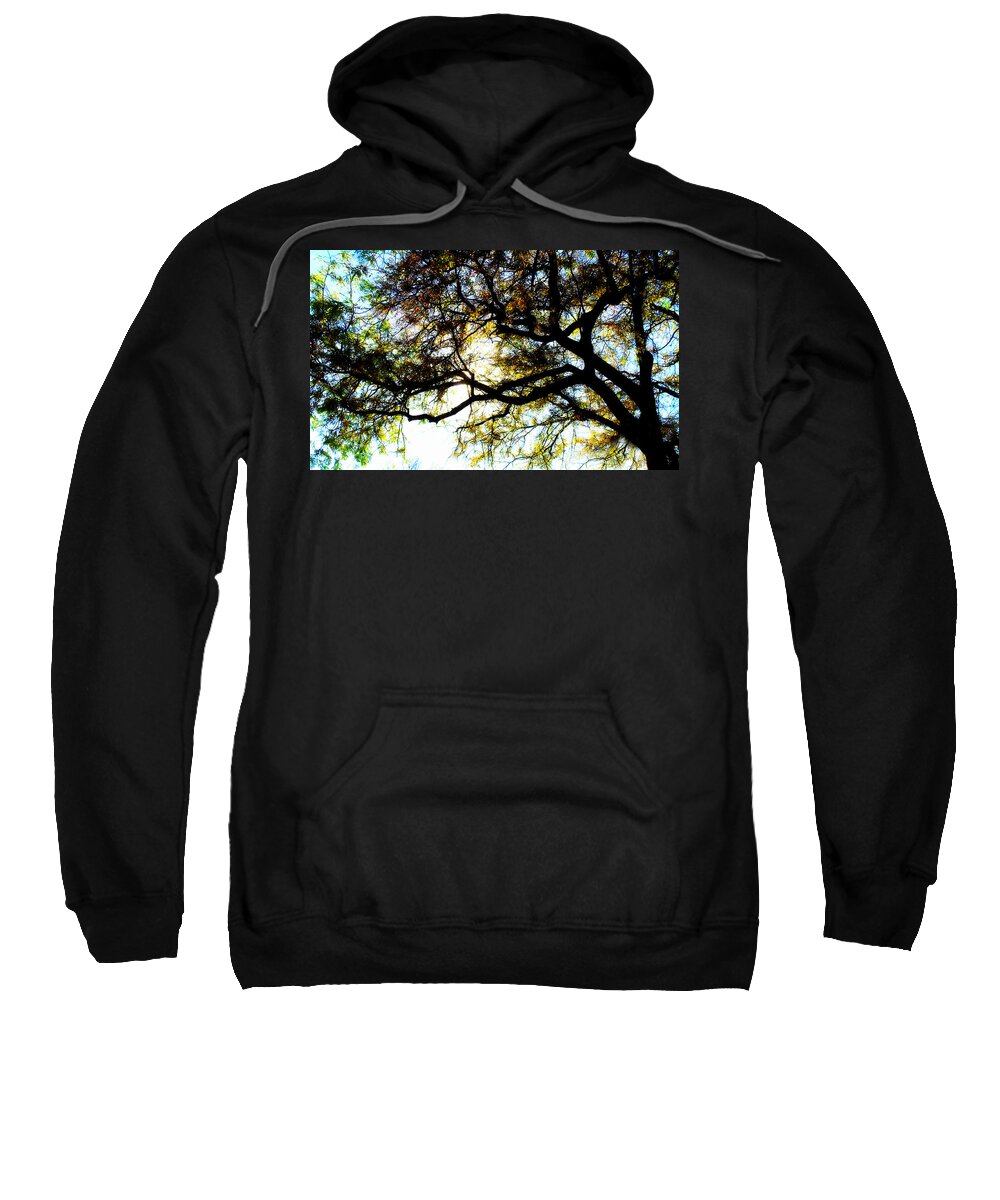Trees Sweatshirt featuring the photograph Sunday Afternoon #1 by Julie Hamilton