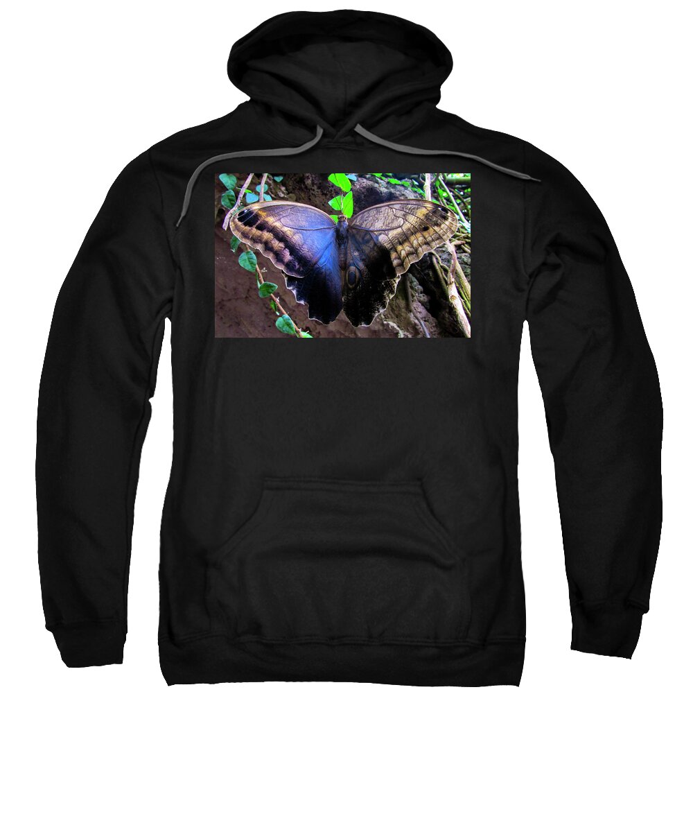Mountain Sweatshirt featuring the photograph Butterfly #10 by Cesar Vieira