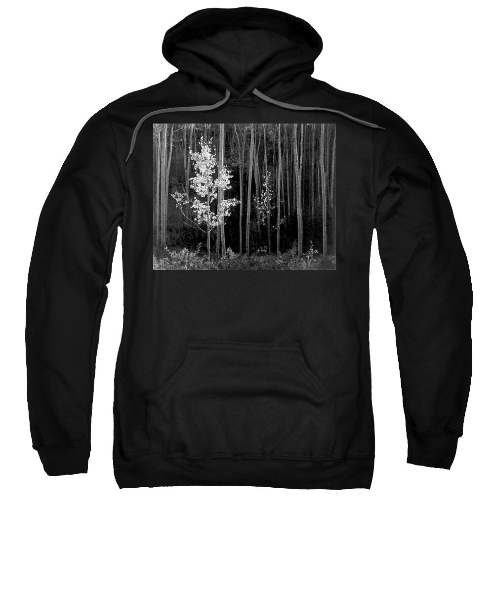Ansel Adams Sweatshirt featuring the photograph Aspens Northern New Mexico #2 by Ansel Adams