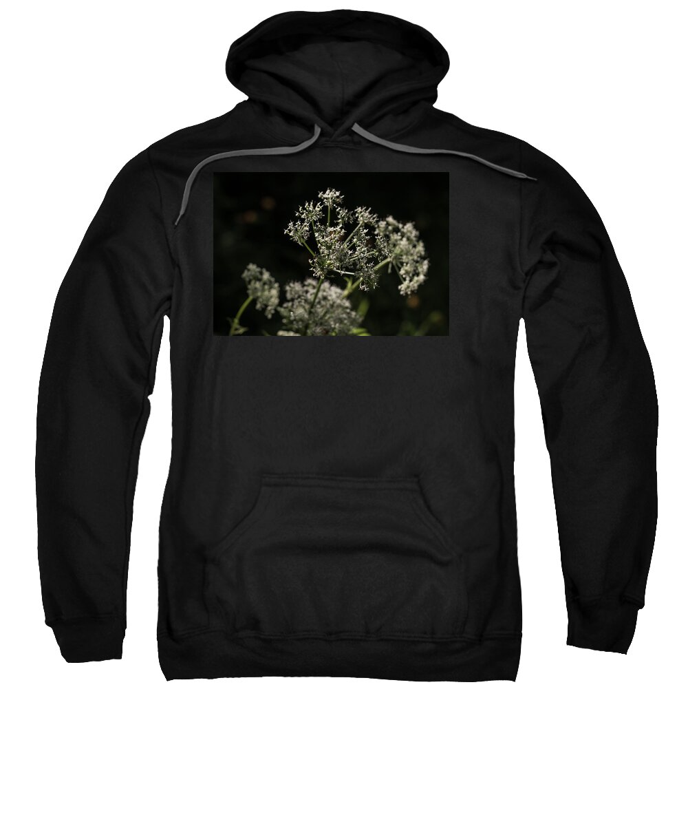Miguel Sweatshirt featuring the photograph Forest Lights #3 by Miguel Winterpacht