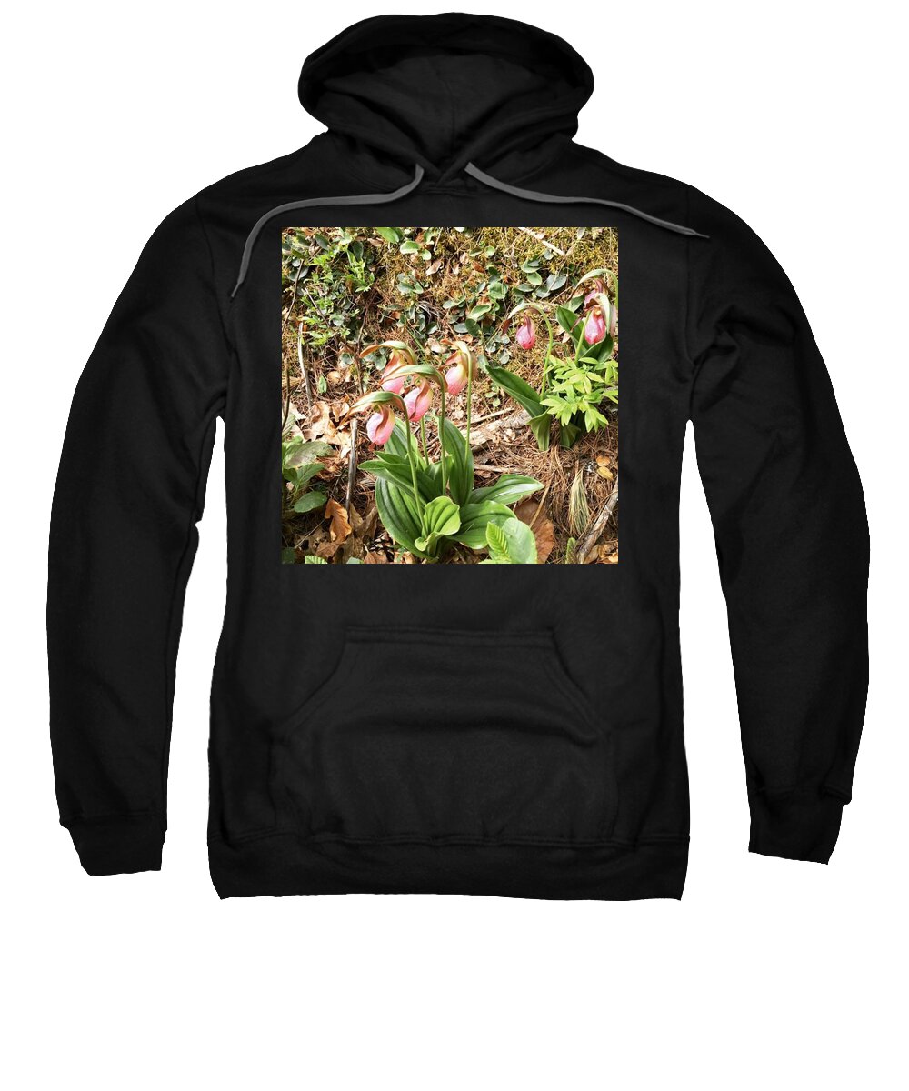 Lady Slippers Sweatshirt featuring the photograph Lady slippers by Salamander Woods Studio-Homestead