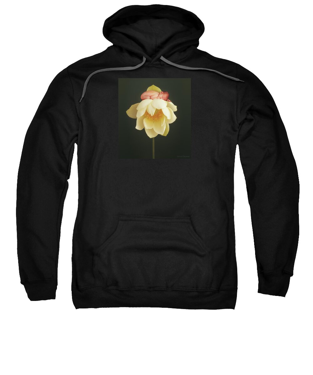 Water Lily Sweatshirt featuring the photograph Lotus Bud by Anne Geddes