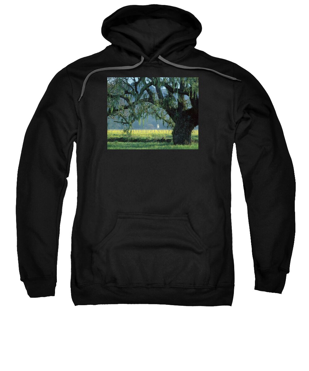 Mustard Sweatshirt featuring the photograph 2B6319 Mustard in the Oaks Sonoma Ca by Ed Cooper Photography
