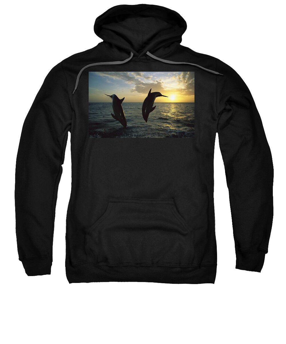 Mp Sweatshirt featuring the photograph Bottlenose Dolphin Tursiops Truncatus #3 by Konrad Wothe
