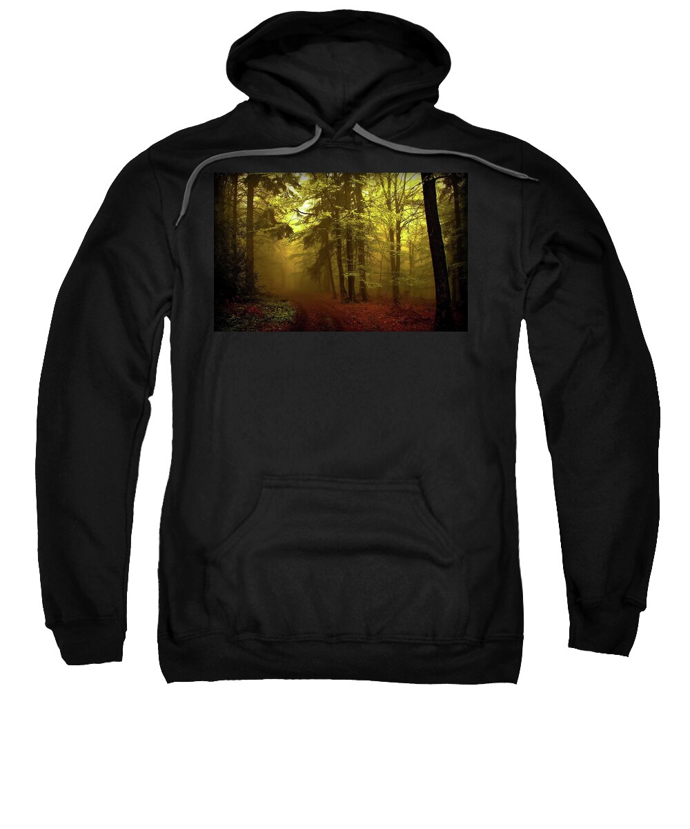 Forest Sweatshirt featuring the photograph Forest #6 by Jackie Russo
