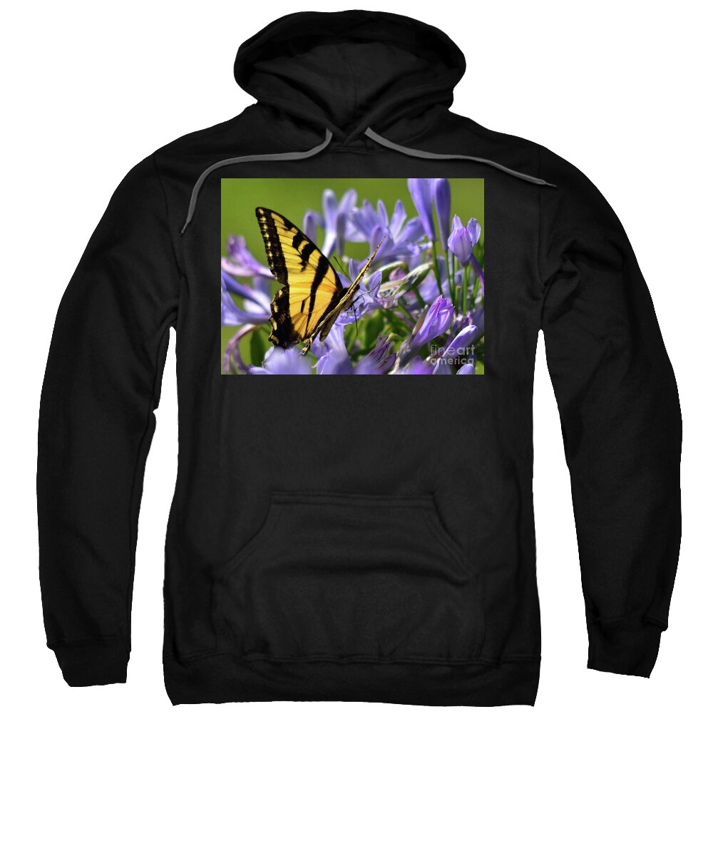 Butterfly Sweatshirt featuring the photograph Butterfly #84 by Marc Bittan