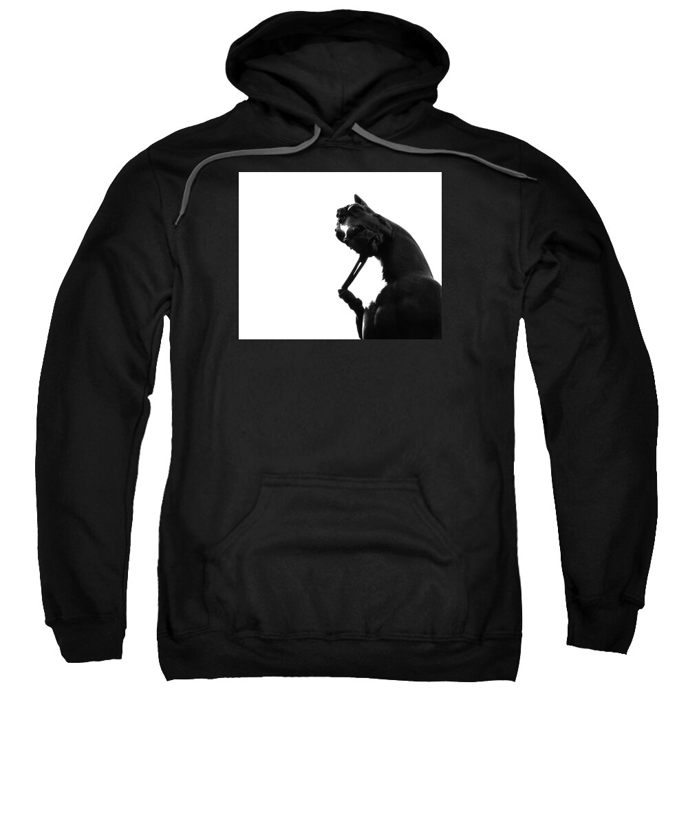 Horse Sweatshirt featuring the photograph A horse by Emme Pons