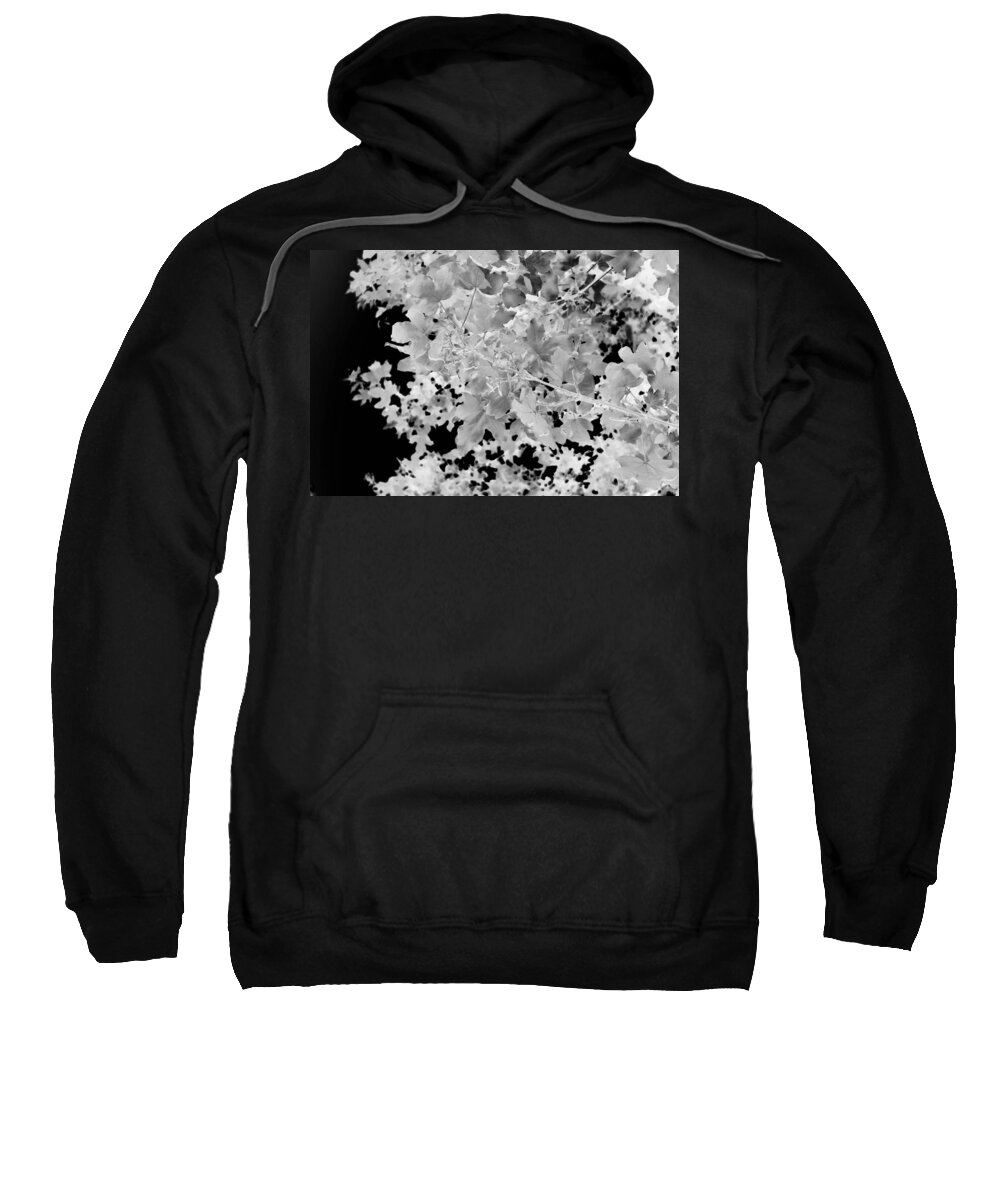 Abstract Landscape Sweatshirt featuring the photograph Abstract Tree Landscape Dark Botanical Art Black Noir by Itsonlythemoon -