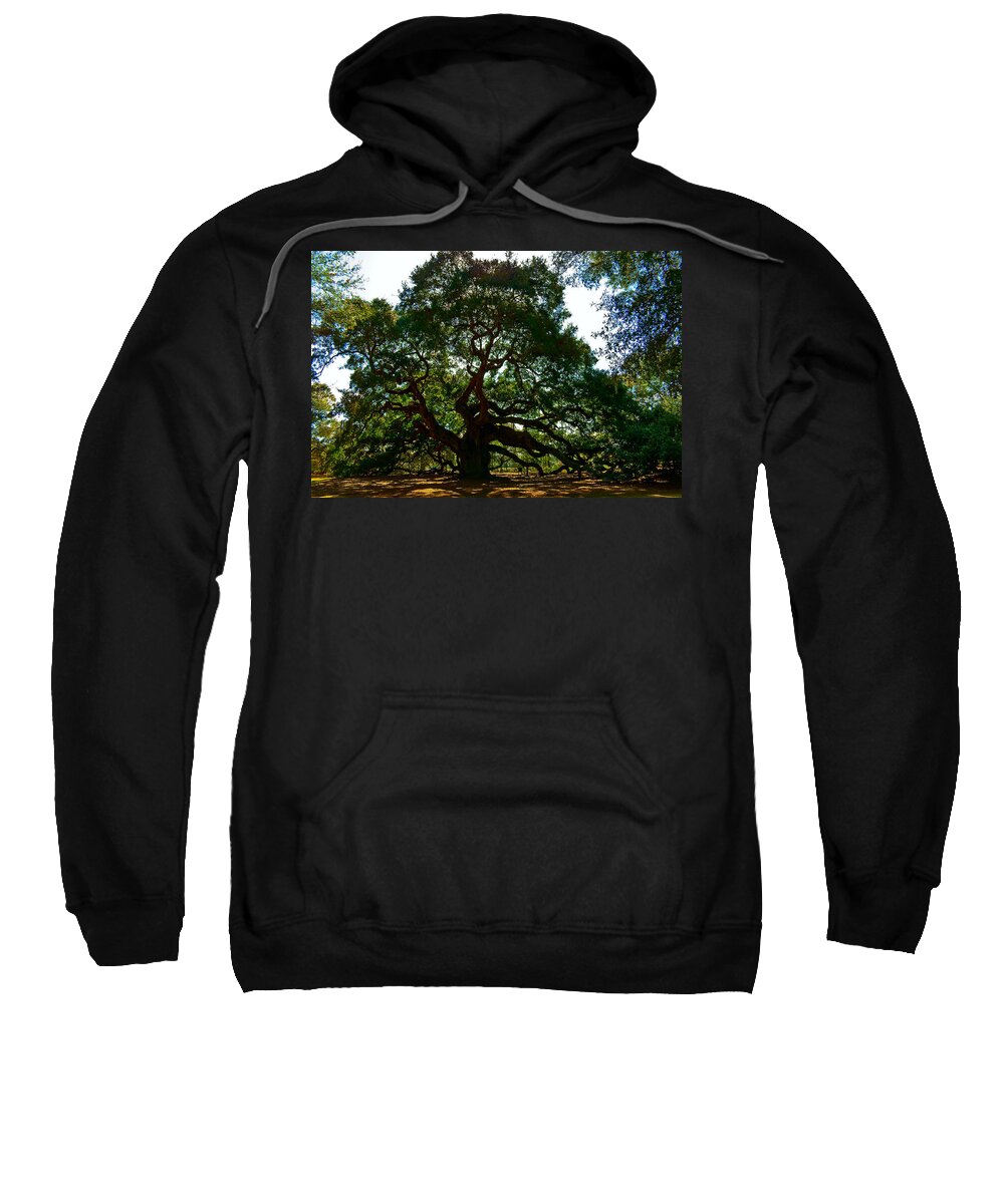 Tree Sweatshirt featuring the photograph Angel Oak Tree 2004 by Louis Dallara