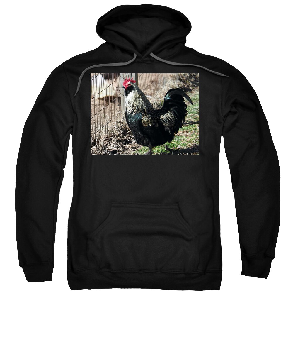 Rooster Sweatshirt featuring the photograph Ann's Rooster by Jerry Connally