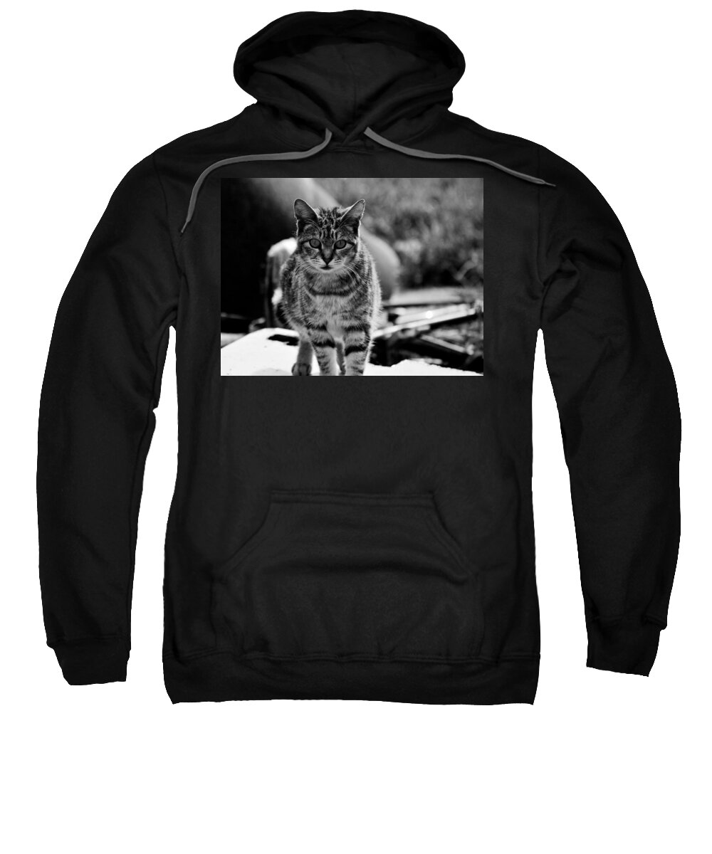 Nature Sweatshirt featuring the photograph Approaching by Chriss Pagani