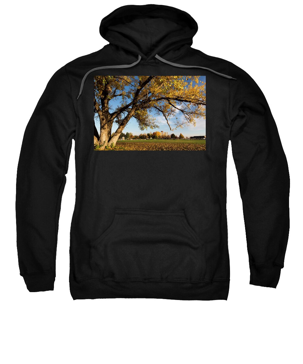 2014 October Sweatshirt featuring the photograph Soccer Tree by Bill Kesler