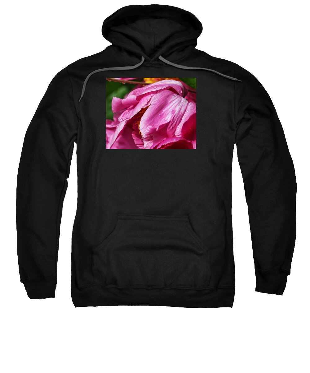 Bill Kesler Photography Sweatshirt featuring the photograph Pink Delight by Bill Kesler