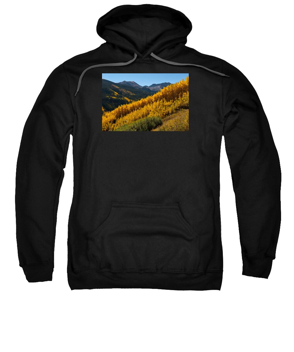 Autumn Sweatshirt featuring the photograph Autumn Aspen Near Castle Creek by Cascade Colors