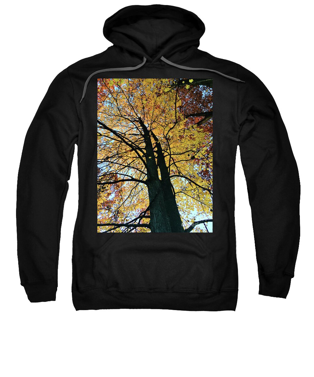 Autumn Sweatshirt featuring the photograph Autumn Glory by Laura Kinker