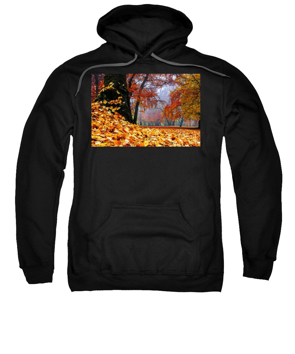 Autumn Sweatshirt featuring the photograph Autumn In The Woodland by Hannes Cmarits
