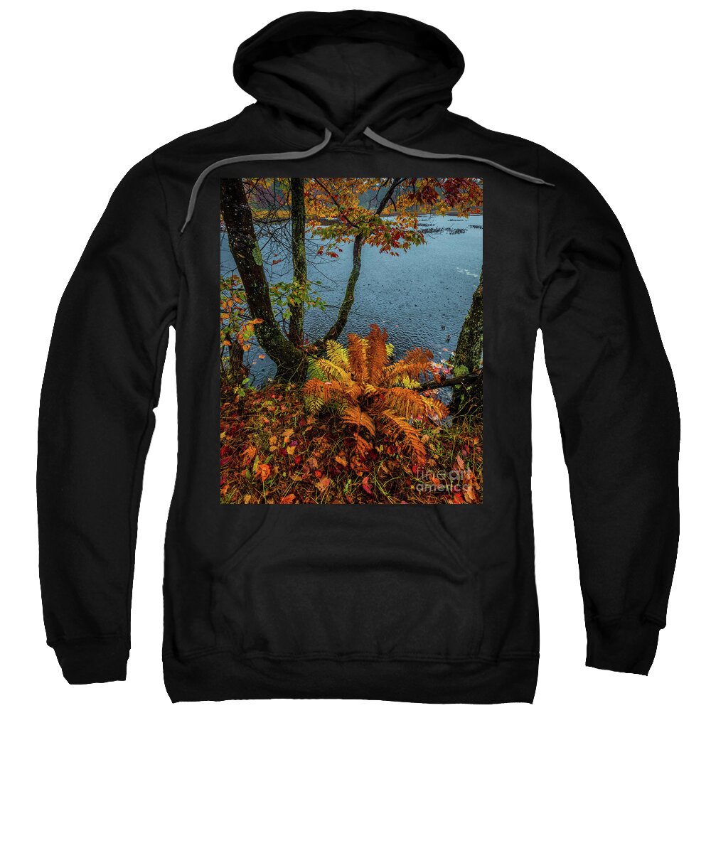 Adirondacks Sweatshirt featuring the photograph Autumn Rain 1 by Roger Monahan