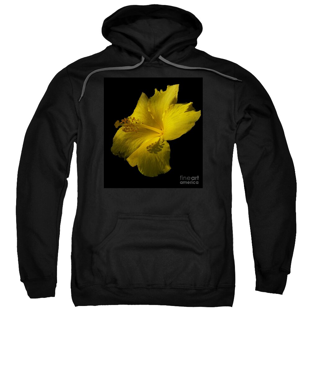 Yellow Flower Sweatshirt featuring the photograph Beauty in Yellow by Maria Aduke Alabi