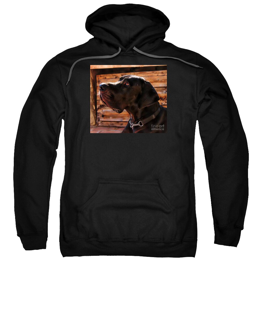 Great Dane Sweatshirt featuring the photograph Benson by Clare Bevan