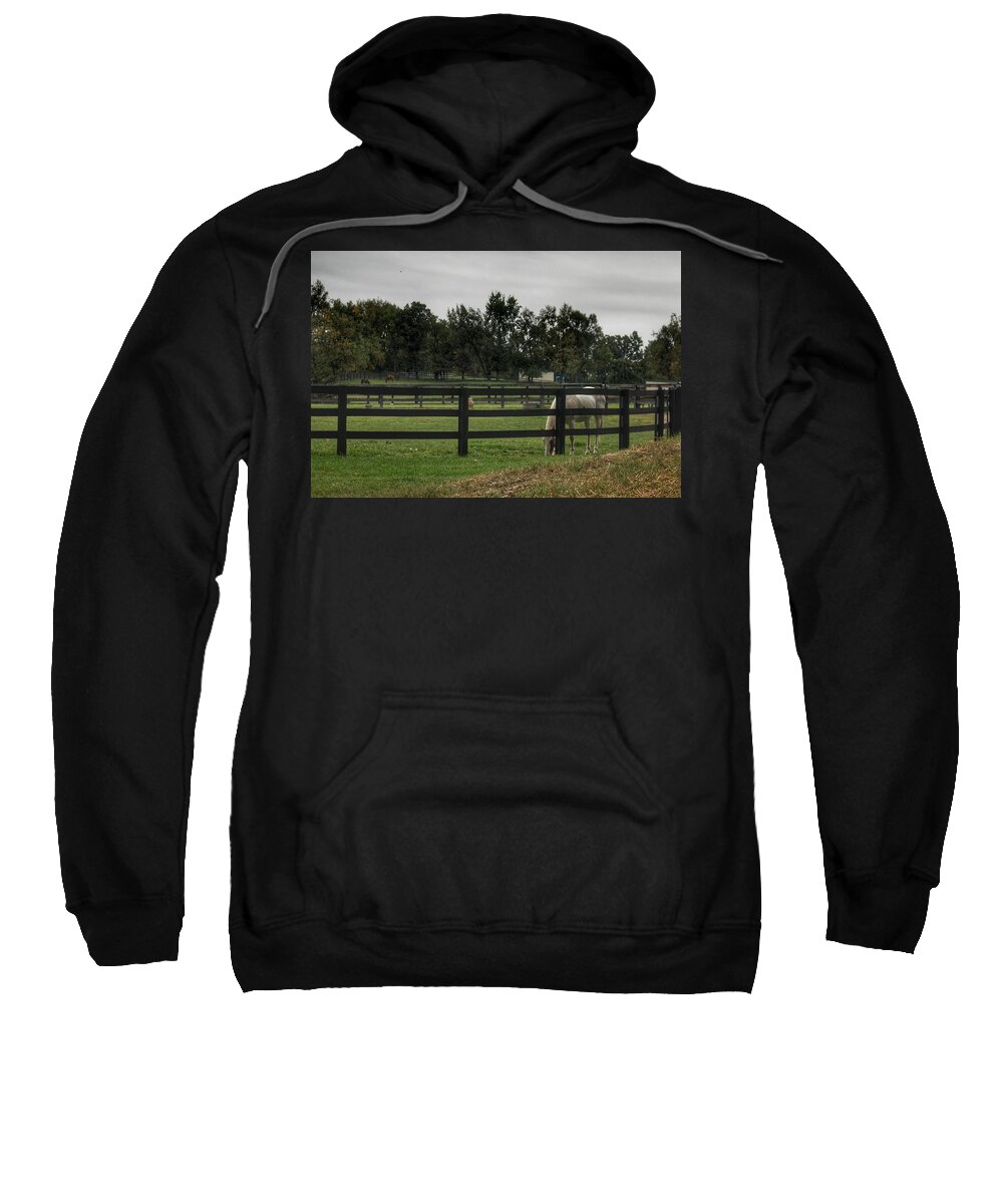 Horse Sweatshirt featuring the photograph 1004 - Beyond the Fence White Horse by Sheryl L Sutter