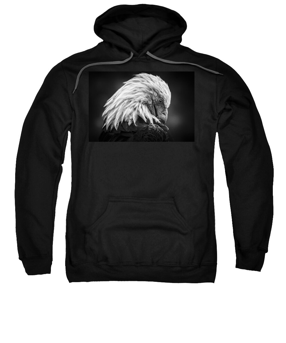 Canada Sweatshirt featuring the photograph Birds of BC - No.30 - Bald Eagle - Keeping Clean by Paul W Sharpe Aka Wizard of Wonders