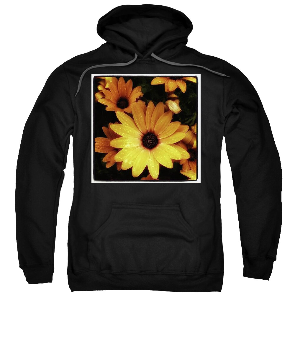 Flowers Sweatshirt featuring the photograph Black Eyed Susans. Looks Like They're by Mr Photojimsf