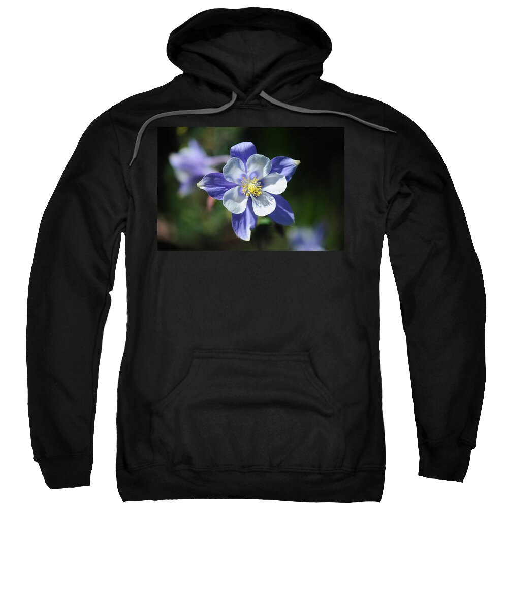 Rocky Mountains Sweatshirt featuring the photograph Blue Columbine by Julia McHugh