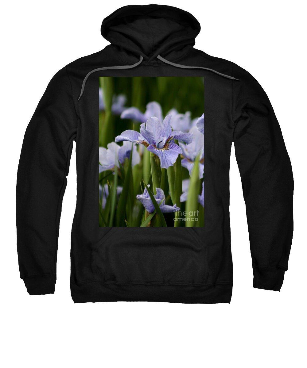 Blue Flowers Sweatshirt featuring the photograph Blue Iris by B Rossitto