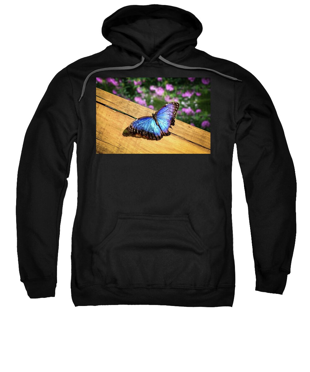 Butterfly Sweatshirt featuring the photograph Blue Morpho Butterfly on a wooden board by Tim Abeln