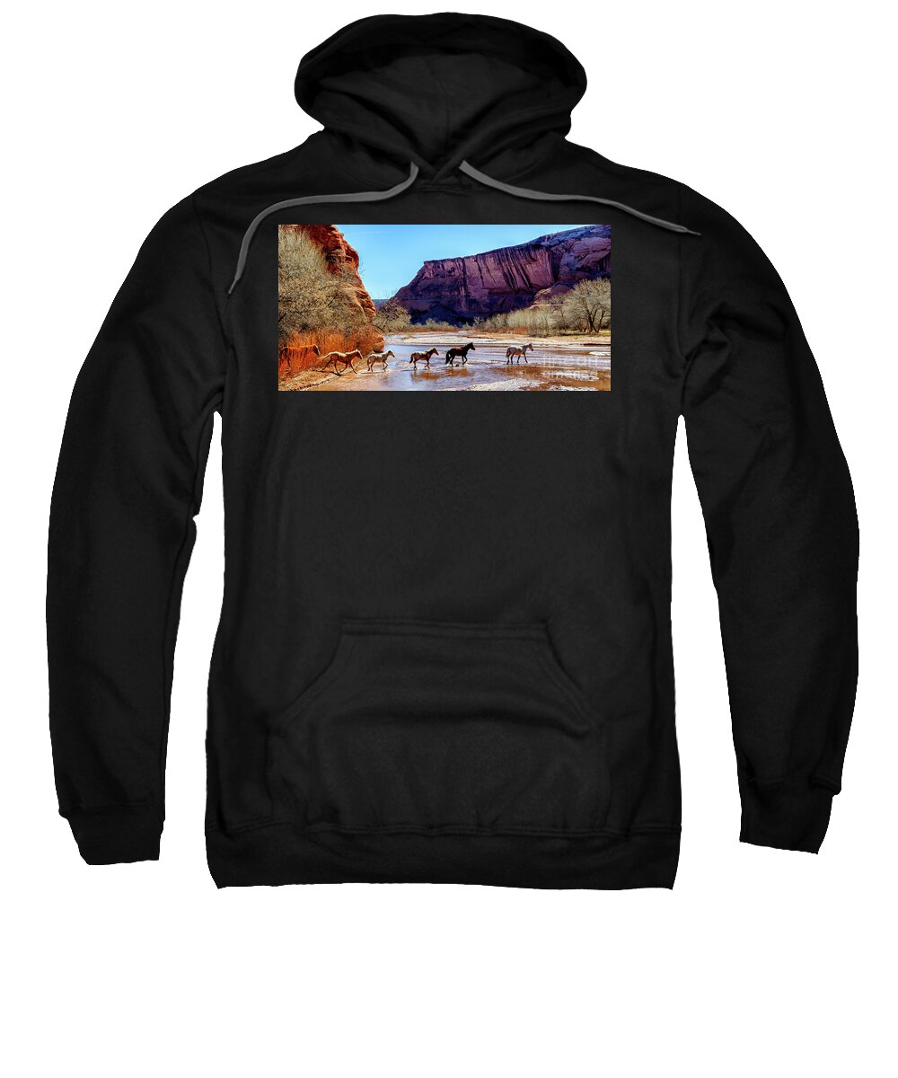 Free Range Sweatshirt featuring the photograph Canyon de Chelly National Monument by Thomas R Fletcher