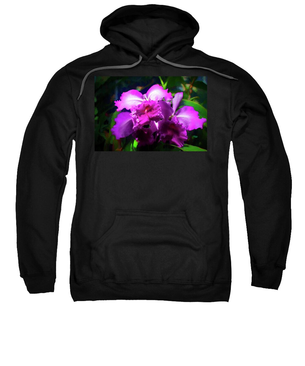 Flower Sweatshirt featuring the photograph Cattleya Orchid by Carlos Diaz