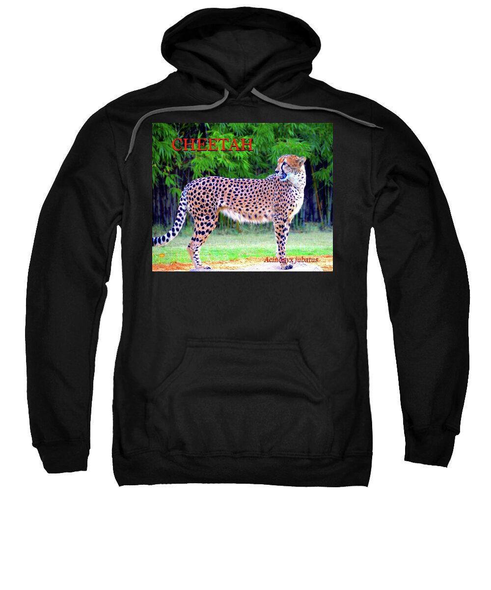 Cheetah Sweatshirt featuring the photograph Cheetah educational by David Lee Thompson