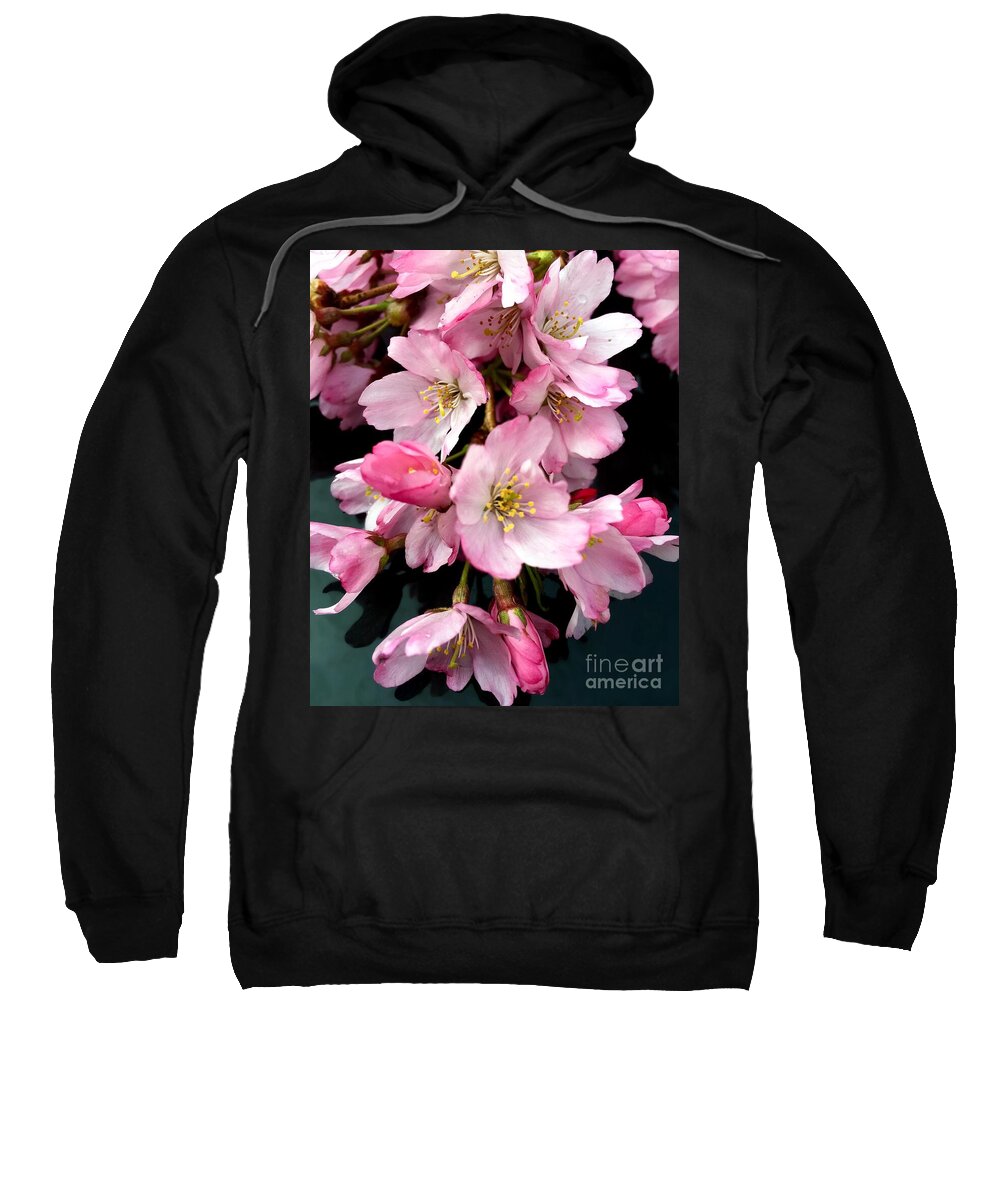 Cherry Blossoms Sweatshirt featuring the photograph Cherry Blossoms by CAC Graphics