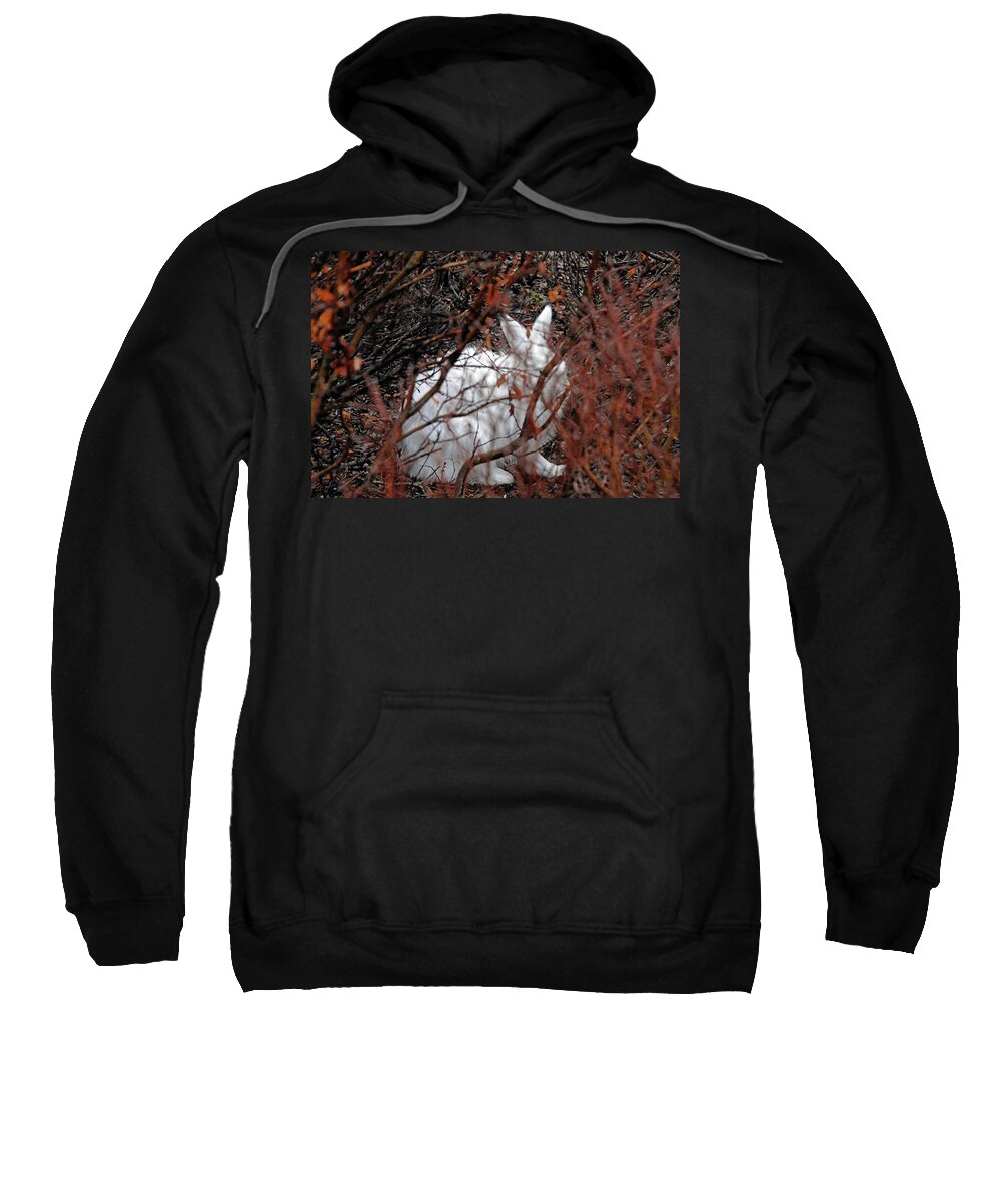 Climate-change Sweatshirt featuring the photograph Climate-Change-Hindered Hiding Hare by Ted Keller