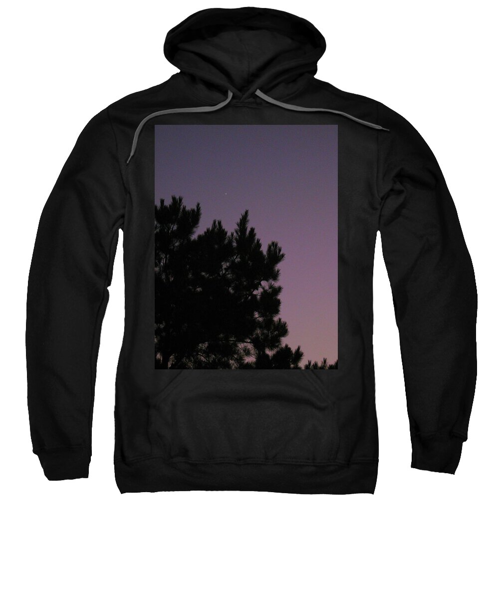 Pine Trees Sweatshirt featuring the photograph Consummation by Judith Lauter
