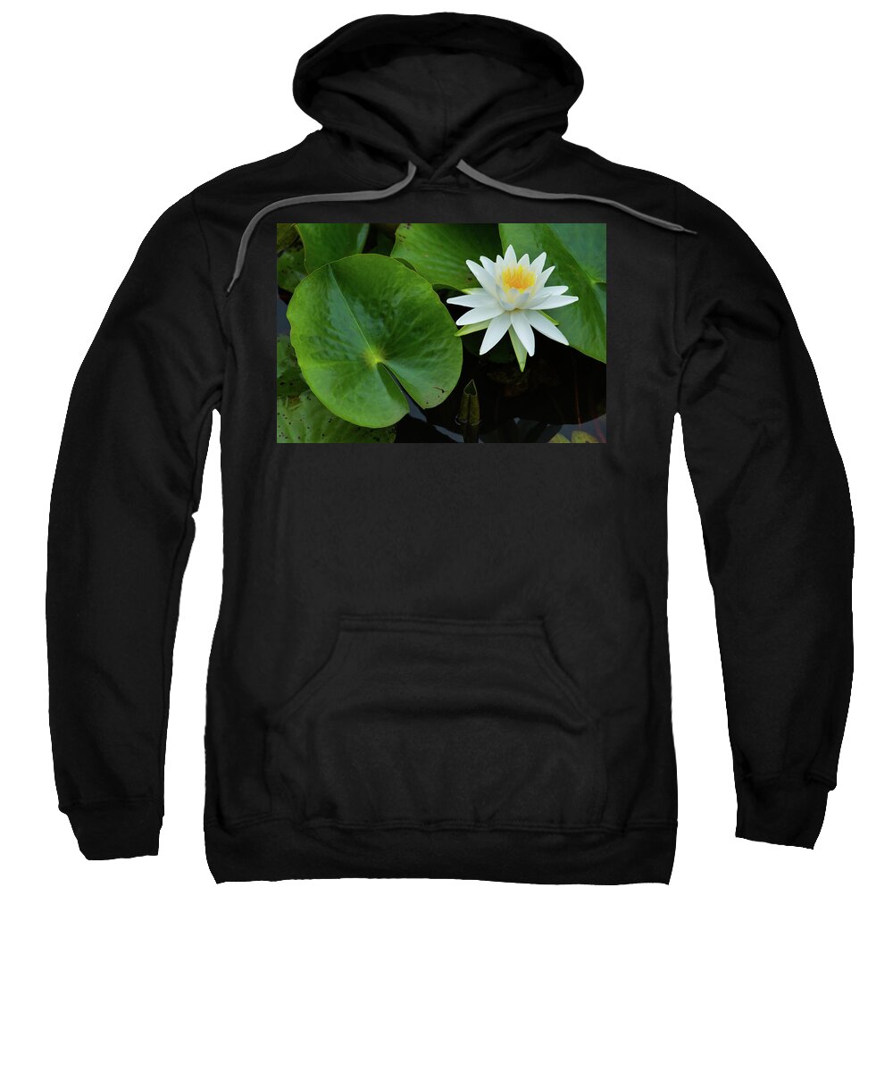 Bloom Sweatshirt featuring the photograph Crisp White and Yellow Lily by Dennis Dame