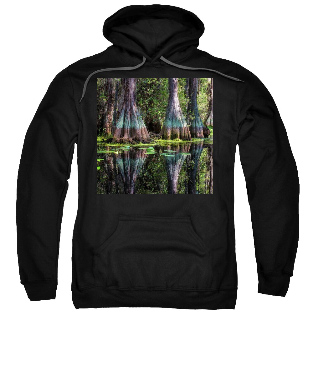Abstract Sweatshirt featuring the photograph Cypresses by Alex Mironyuk