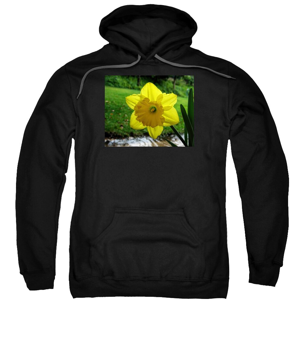 Rain Sweatshirt featuring the photograph Daffodile in the Rain by Dorothy Cunningham