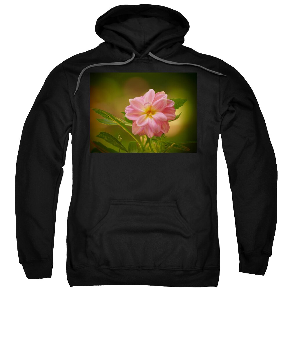  Sweatshirt featuring the photograph Dahlia On A Warm Summer's Afternoon by Dorothy Lee