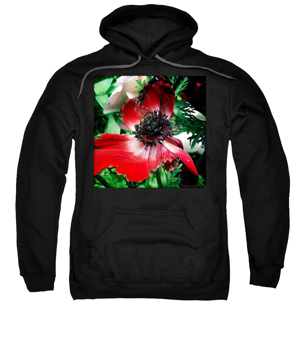 Bestofnorthwest Sweatshirt featuring the photograph Death Of An Anemone In My Garden by Anna Porter