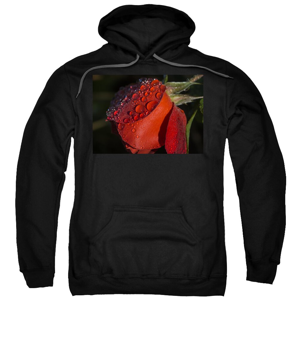 Red Sweatshirt featuring the photograph Dew on Red Rose by Robert Potts