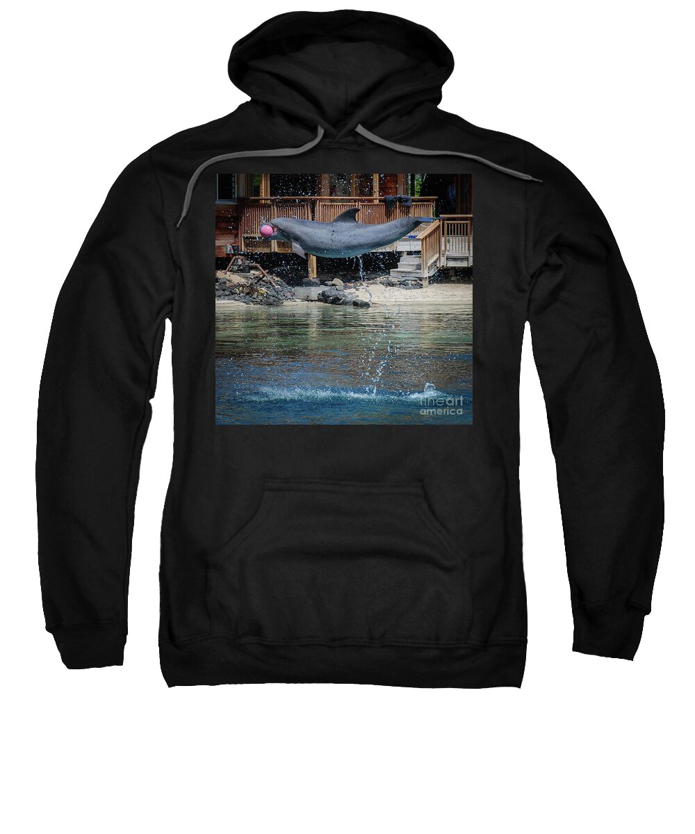Mamal Sweatshirt featuring the photograph Dolphin by Barry Bohn